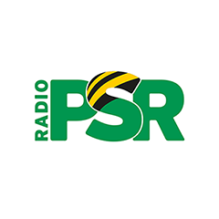 Radio Radio PSR 80er
